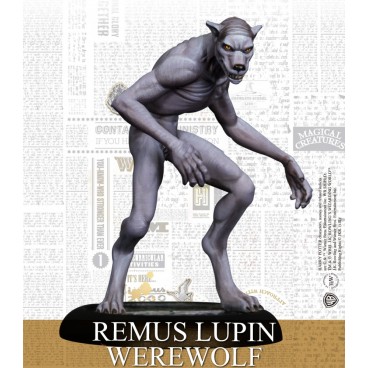 Harry Potter - Remus Lupin (Fr)