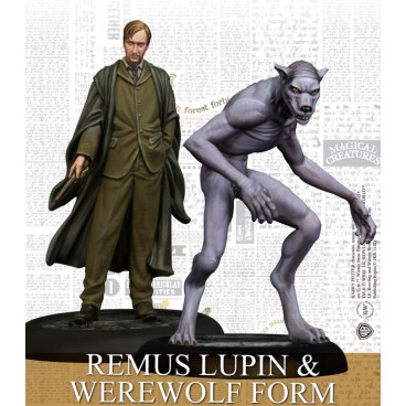 Harry Potter - Remus Lupin (Fr)