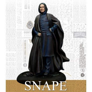 Harry Potter - Hogwarts Professors (Fr+Eng)