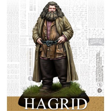 Harry Potter - Rubeus Hagrid & Fang (Fr+Eng)