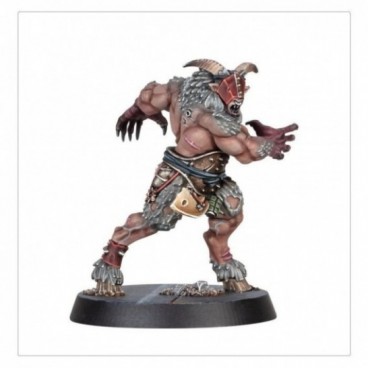 Kill Team: Ravageurs Affregors