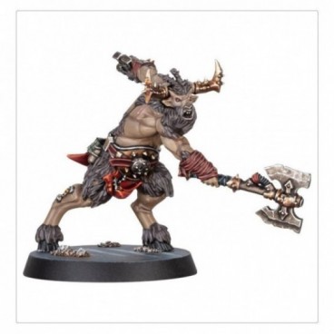 Kill Team: Ravageurs Affregors