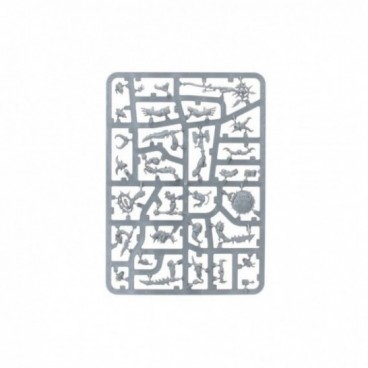 Kill Team: Ravageurs Affregors