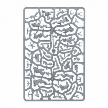 Kill Team: Ravageurs Affregors