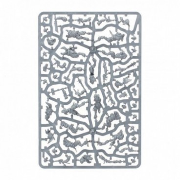 Kill Team: Ravageurs Affregors