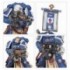Escouade De Veterans Sternguards