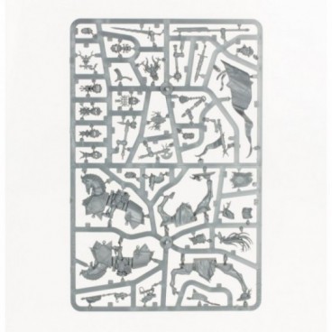 Cavaliers Des Guilds Franches