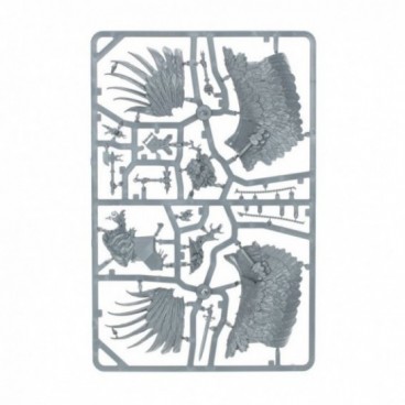 Tahlia Vedra La Lionne De Laride