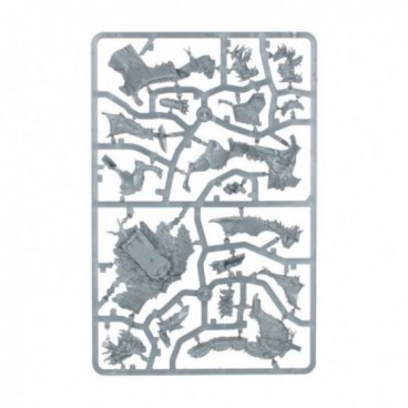 Tahlia Vedra La Lionne De Laride