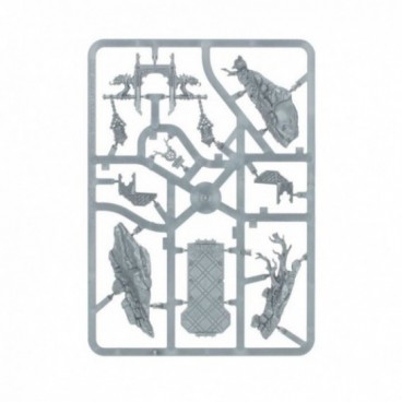 Pontifix Venestra Matriarche De La Grand