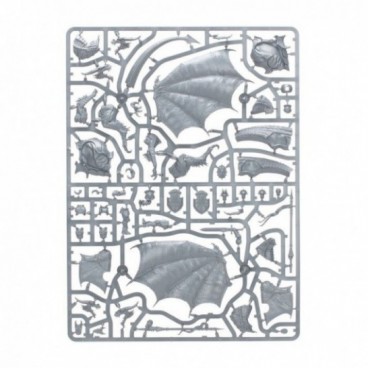 Aile Dorage De Cryptborn