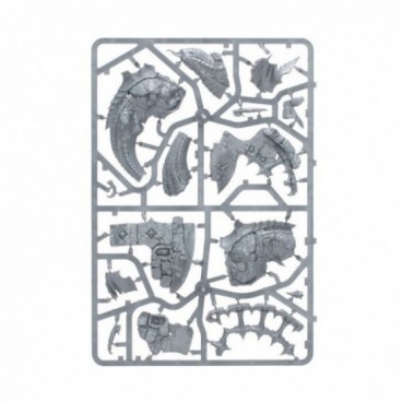 Aile Dorage De Cryptborn