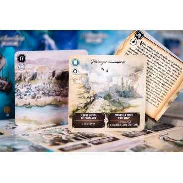 Cartaventura : Vinland