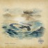 Cartaventura : Vinland