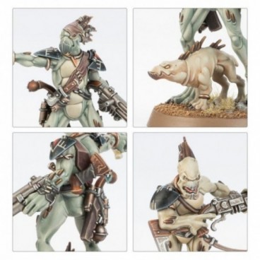 T'au Empire : Carnivores Kroots