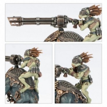 T'au Empire : Cavalier Krootox