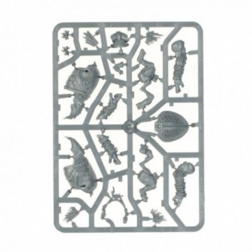 T'au Empire : Cavalier Krootox