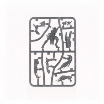 T'au Empire: Mentor Pisteur Kroot