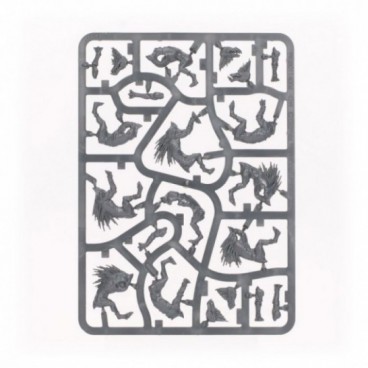 T'au Empire : Chiens Kroots