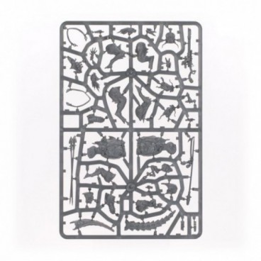 T'au Empire : Solilance Kroot