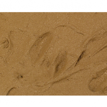 Diorama FX &nbsp;: Brown Earth - Terre Brune