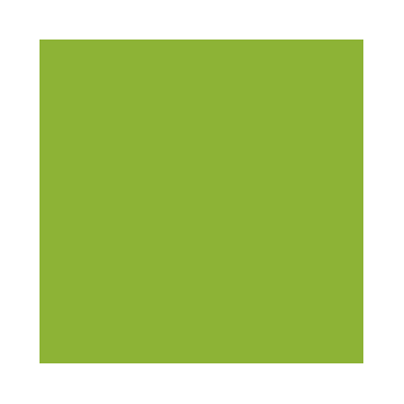 Vert Fluo - Fluorescent Green