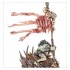 Flesh-Eater Courts:Chevaliers De Morbheg