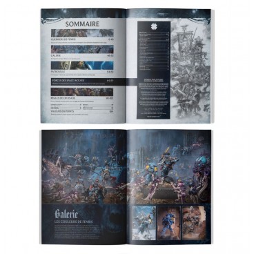 Supplément De Codex : Space Wolves (Fra)