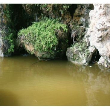 Diorama FX &nbsp;: Still water - Eaux Tranquilles