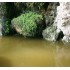 Diorama FX &nbsp;: Still water - Eaux Tranquilles