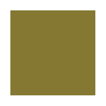 Game Color : Vert Camouflage - Camouflage Green