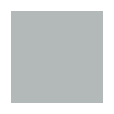 Game Color : Argent Elfique - Silver