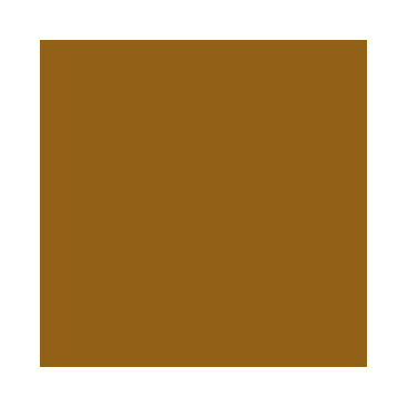 Game Color : Bronze Clair - Bright Bronze