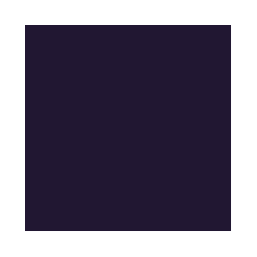 Game Color : Violet de Minuit - Midnight Purple