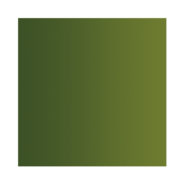 Xpress Color&nbsp;: Chair Orc - Orc Skin