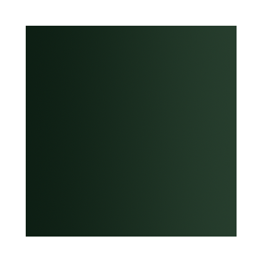 Xpress Color&nbsp;: Vert Lézard - Lizard Green