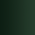 Xpress Color&nbsp;: Vert Lézard - Lizard Green