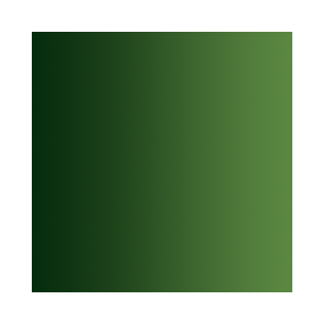 Xpress Color&nbsp;: 177-Vert Forêt - Forest Green