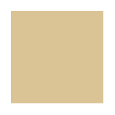 Primer : Primer Tan Désert – Desert Tan