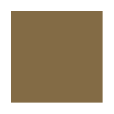 Primer : Primer Vert Brun Allemand RAL8000 – German Green Brown RAL8000