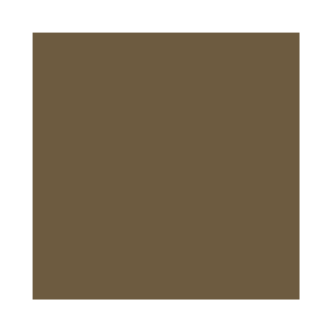 Model Air : Terre Foncée BS – BS Dark Earth