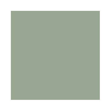 Model Air : Vert Gris Clair IJA - IJA Light Grey Green
