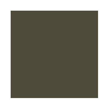 Model Air : Olive Foncé N41 - N41 Dark Olive Drab