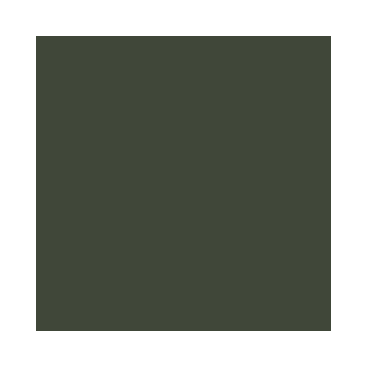 Model Air : Vert Olive RLM80 - Olive Green RLM80