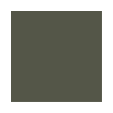 Model Air : Vert Bronze RAL6031 - Bronze Green RAL6031