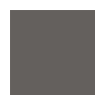 Model Air : Gris Brun - Brown Grey