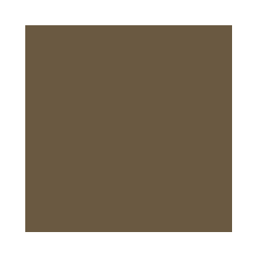 Model Air : Brun Olive US - US Field Drab