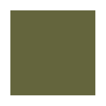 Model Air : Vert Clair US - US Light Green