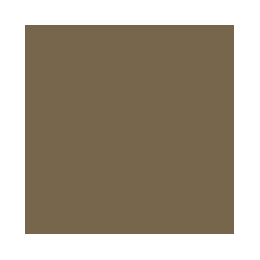 Model Air : Terre marron IJA - IJA Earth Brown