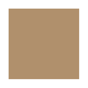 Model Air : Camouflage brun - Brown RAL8020